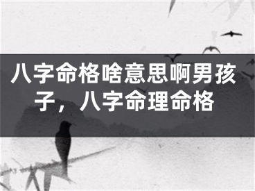 八字命格啥意思啊男孩子,八字命理命格