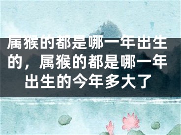 属猴的都是哪一年出生的，属猴的都是哪一年出生的今年多大了