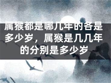 属猴都是哪几年的各是多少岁，属猴是几几年的分别是多少岁