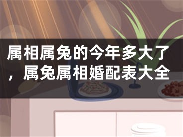属相属兔的今年多大了，属兔属相婚配表大全