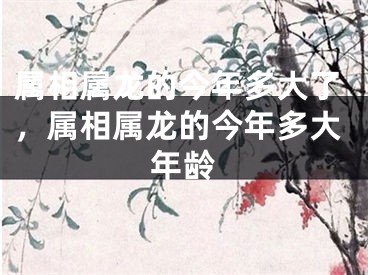 属相属龙的今年多大了，属相属龙的今年多大年龄