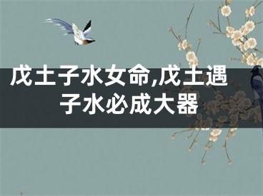 戊土子水女命,戊土遇子水必成大器