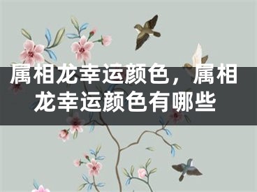 属相龙幸运颜色，属相龙幸运颜色有哪些