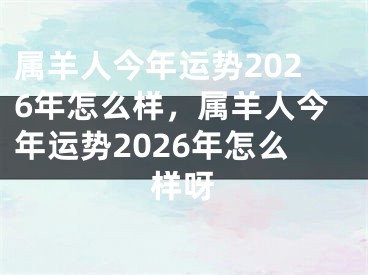 属羊人今年运势2026年怎么样，属羊人今年运势2026年怎么样呀