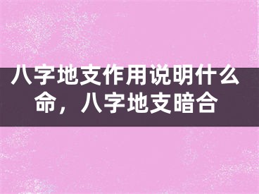 八字地支作用说明什么命，八字地支暗合