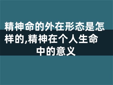 精神命的外在形态是怎样的,精神在个人生命中的意义