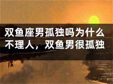 双鱼座男孤独吗为什么不理人，双鱼男很孤独