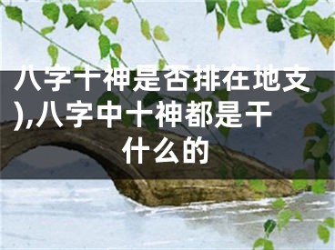 八字十神是否排在地支),八字中十神都是干什么的
