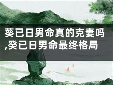 葵已日男命真的克妻吗,癸已日男命最终格局
