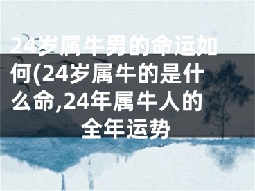24岁属牛男的命运如何(24岁属牛的是什么命,24年属牛人的全年运势