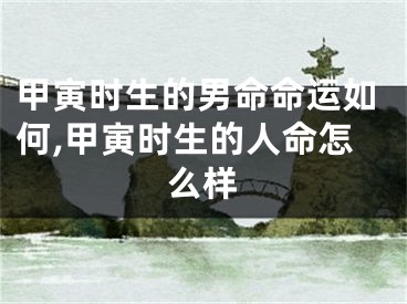甲寅时生的男命命运如何,甲寅时生的人命怎么样