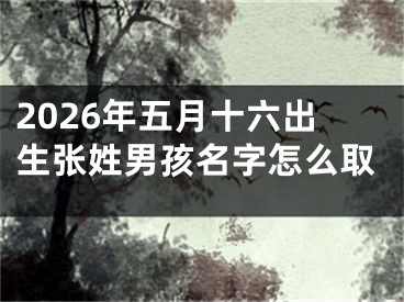 2026年五月十六出生张姓男孩名字怎么取