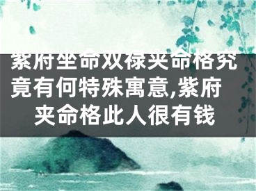 紫府坐命双禄夹命格究竟有何特殊寓意,紫府夹命格此人很有钱