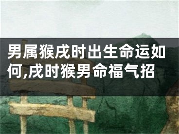 男属猴戌时出生命运如何,戌时猴男命福气招