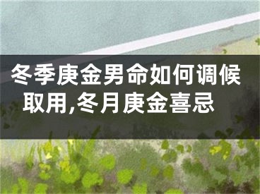 冬季庚金男命如何调候取用,冬月庚金喜忌