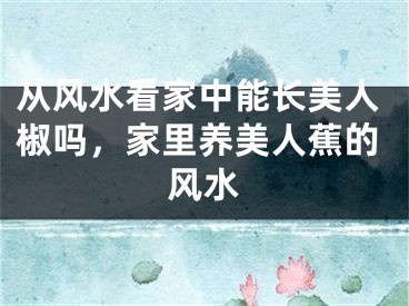 从风水看家中能长美人椒吗，家里养美人蕉的风水