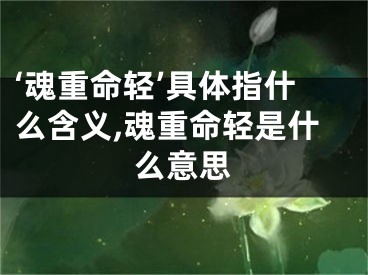 ‘魂重命轻’具体指什么含义,魂重命轻是什么意思