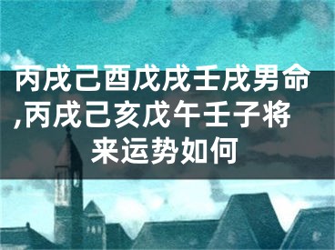 丙戌己酉戊戌壬戌男命,丙戌己亥戊午壬子将来运势如何