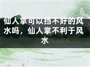 仙人掌可以挡不好的风水吗,仙人掌不利于风水