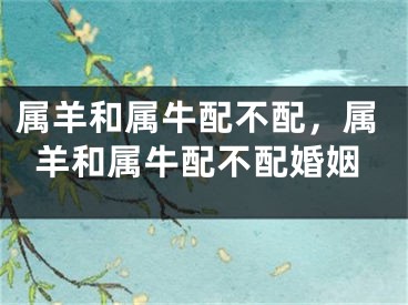 属羊和属牛配不配，属羊和属牛配不配婚姻