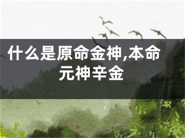 什么是原命金神,本命元神辛金