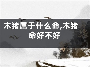 木猪属于什么命,木猪命好不好