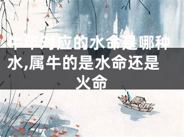 牛年对应的水命是哪种水,属牛的是水命还是火命