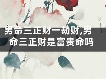 男命三正财一劫财,男命三正财是富贵命吗