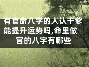 有官命八字的人认干爹能提升运势吗,命里做官的八字有哪些