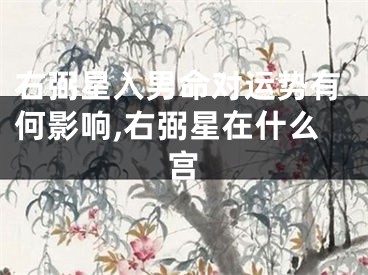 右弼星入男命对运势有何影响,右弼星在什么宫