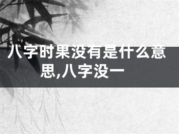 八字时果没有是什么意思,八字没一