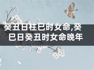 癸丑日柱巳时女命,癸巳日癸丑时女命晚年