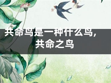 共命鸟是一种什么鸟,共命之鸟