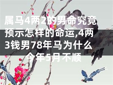 属马4两2的男命究竟预示怎样的命运,4两3钱男78年马为什么今年5月不顺