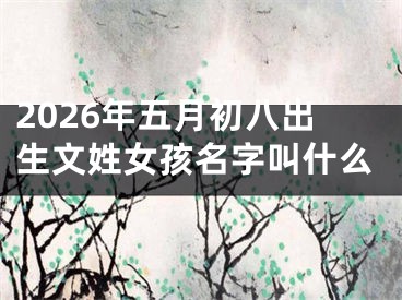 2026年五月初八出生文姓女孩名字叫什么
