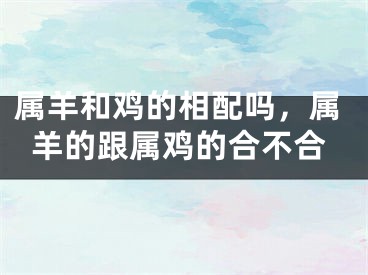 属羊和鸡的相配吗，属羊的跟属鸡的合不合