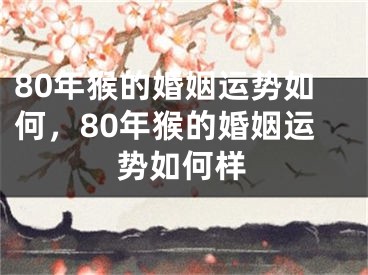 80年猴的婚姻运势如何，80年猴的婚姻运势如何样