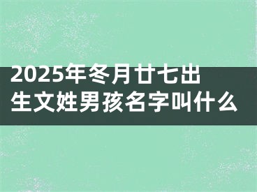 2025年冬月廿七出生文姓男孩名字叫什么