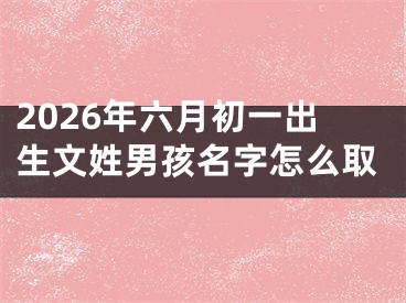 2026年六月初一出生文姓男孩名字怎么取