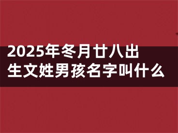 2025年冬月廿八出生文姓男孩名字叫什么