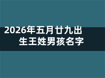 2026年五月廿九出生王姓男孩名字