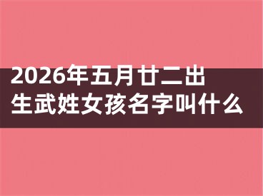 2026年五月廿二出生武姓女孩名字叫什么