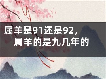 属羊是91还是92，属羊的是九几年的