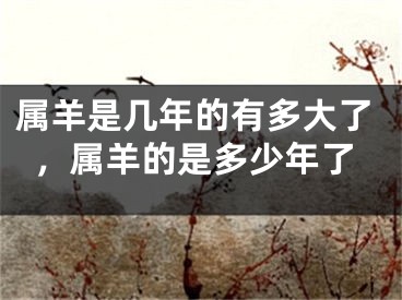 属羊是几年的有多大了,属羊的是多少年了