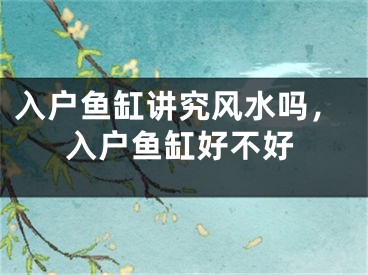 入户鱼缸讲究风水吗,入户鱼缸好不好