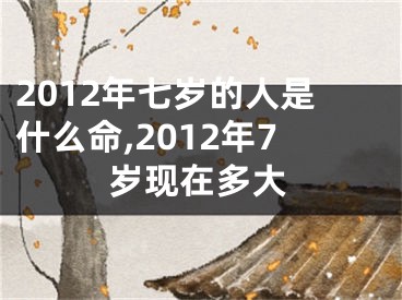 2012年七岁的人是什么命,2012年7岁现在多大