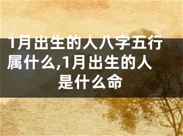 1月出生的人八字五行属什么,1月出生的人是什么命