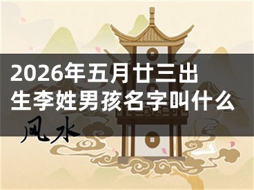 2026年五月廿三出生李姓男孩名字叫什么