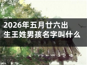 2026年五月廿六出生王姓男孩名字叫什么