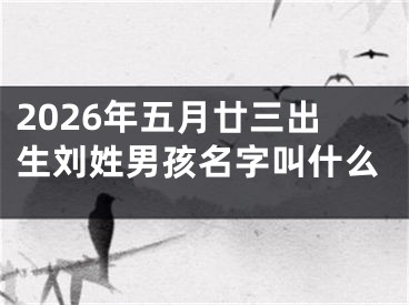 2026年五月廿三出生刘姓男孩名字叫什么
